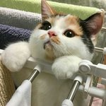 나보다 더한 <b>흑역사</b> 있냐