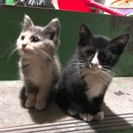 나 말을 <b>이어</b>갈줄을 몰라..