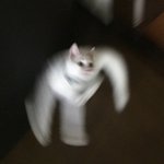 여름방학에 뭐할거야??