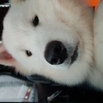 대환장파티 다둥이들