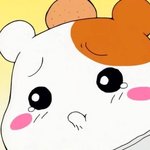 [드루와] 내신 6등급 스튜어디스 가능?