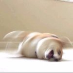 [드루와] 숀 진짜 띠용스러운게 뭔줄 앎?