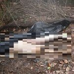 "무덤 속 父 시체 꺼냈다"…'<b>태아</b>' 이어 엽기적 '인증샷'...