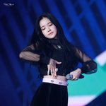 블랙 <b>스완</b> 손나은