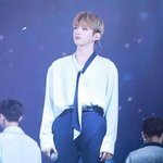 [강다니엘] ㅅㄷ 녤부리들!