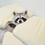 [드루와] 진짜 남사친한테 설렌썰 <b>풀자</b>(웹툰X)