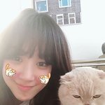 <b>로코퀸</b>의 매력