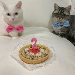 [댓글부탁해] 근데 행복한건 진짜 얼마 안 <b>가데</b>