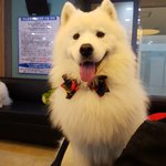 대환장파티 다둥이들