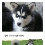 [댓글부탁해] 제발 하지말라고 하면 하지 않았으면 좋겠다;;