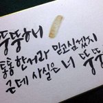 [댓글부탁해] 먹토하다가 <b>피나</b>왓아 ㅜㅜ