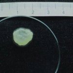 [댓글부탁해] +낙태<b>찬반</b> 너네의견은 어때