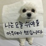 나 혼밥혼영혼코노 등등 완전 못했었는데