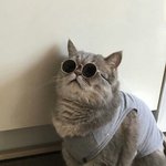 [드루와] 다들 <b>태몽</b> 하나씩 말하고 가자!!