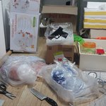 햄스터 <b>왕국</b> 건설