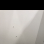 [ㅋㅋㅋㅋㅋ] +추가)이거 몰카구멍인거냐ㅋ?