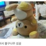울이곰