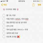 [댓글부탁해] 내 방학동안 다이어트 계획 보고갈 <b>사라</b>암