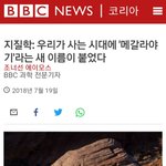 [댓글부탁해] 역사<b>학자</b>들 다 메갈이다?ㅋㅋㅋㅋㅋㅋㅋㅋㅋ