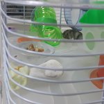 눈을 뜨고 자고잇는 <b>북문</b>이~~~