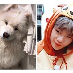 [강다니엘] 멈<b>무야</b> 멈멍아