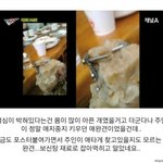 [<b>명랑</b>엽떡] 우리가 먹는 개고기의 정체