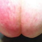 복숭아 딱딱한게좋아 말랑한게 좋아??