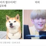 [NCT] <b>아닝</b> 모태 짤