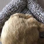 [댓글부탁해] 우리아빠 자랑좀 할겡 !!!