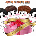 뉴이스트 <b>팬덤</b>