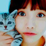 이 고양이 <b>종이</b> 뭐야?