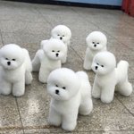 나 <b>양쪽</b>렌즈 직경이 다른데 이게머양
