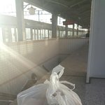 <b>kfc</b>는 콜 라가  공짜임