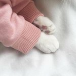 [조언부탁해] 나<b>탐폰</b>지금처음껴봤는데..