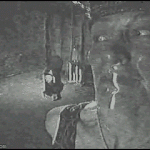 [댓글부탁해] <b>동묘</b> 토욜일욜차이많이나??