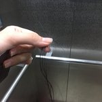 [이게모죠] 머리가 가위로 잘라져있고 <b>발톱</b>을 올려져있었어요