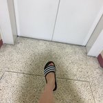 배고파서 <b>먹이</b>를 찾으러 나왔따!