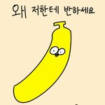귀여운 <b>연상</b>