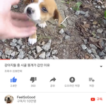 [드루와] 내가 주기적으로 꼭 보는 영상 (심장아픔)