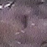 [19] 프듀48보면서 우리반 남자새1끼들이