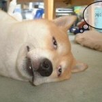 현재 <b>온도</b> 37도 체감 40도
