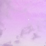 <b>뉴발</b>에서 살 물건 추천 좀