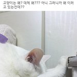 [댓글부탁해] 엄마가 나보고 인격장애인이래
