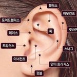 피어싱 위치좀 골라주랑!!!