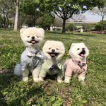 [댓글부탁해] 틴트에서 이상한 냄새나...