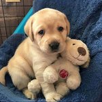 ㅁㅈ야 보고<b>시포</b>