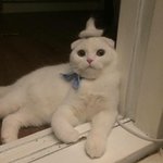 고등학생 <b>백팩</b> 추천 해주세요 :)