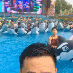 [드루와] 진짜 이 움짤ㅈㄴ웃기네ㅅㅂㅋㅋㅋ