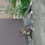 얘 <b>못생</b>굣징