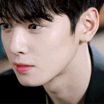 차은우 눈은 뭐야?(<b>쌍수</b>해본애들만